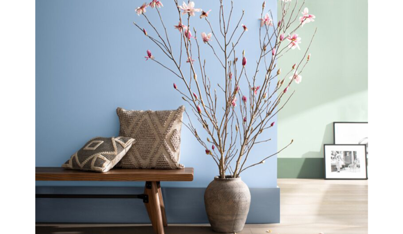 Área de estar de dos tonos con paredes azul y verde, banco de madera y jarrón con ramas.