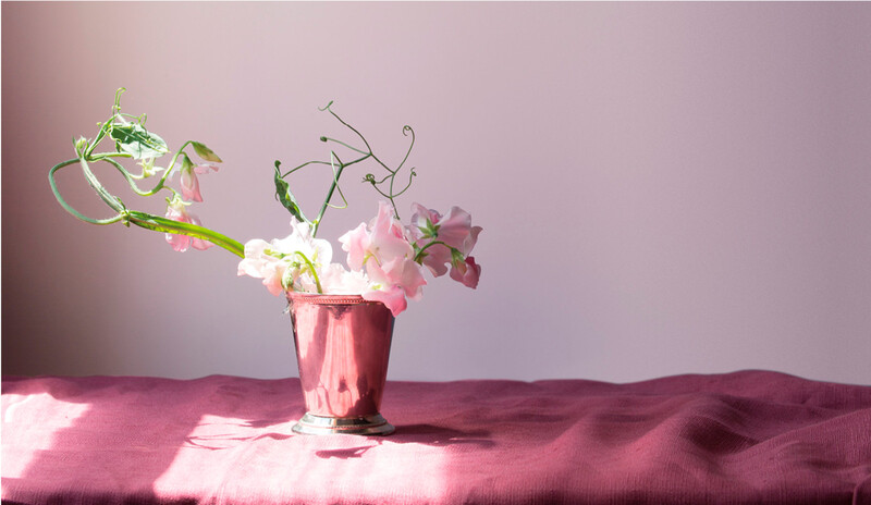 A magenta fabric on a table, topped with a pot of flowers in front of a purple wall.