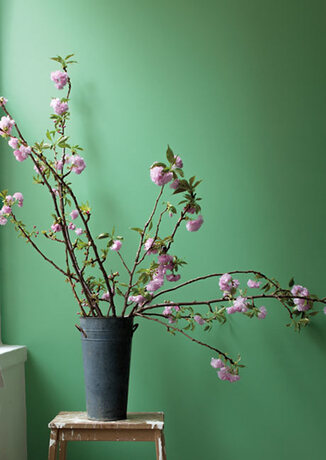 A deep green-painted hallway with pink flower blossoms in a rustic vase on a painted stepladder.