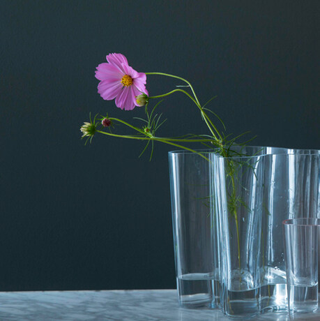 A glass vase with a single pink flower is profiled against a deep blue wall.