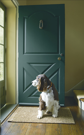 Puerta principal verde con un perro mirando hacia afuera.
