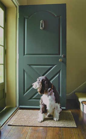 Entryway with dark green front door and light green interior walls.